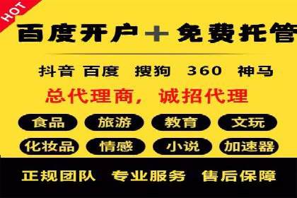 百度移动端应用推广策略探讨